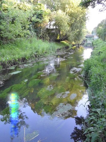 Abschied am Fluss- Lammas